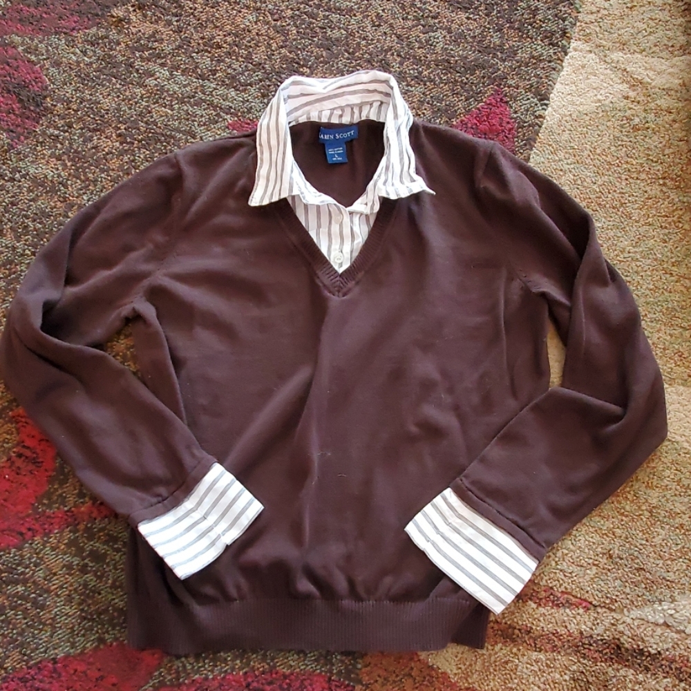 Karen Scott, brown sweater, large